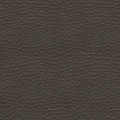 Paquete de tapicería de 2 piezas