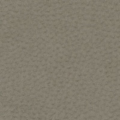 Paquete de tapicería de 2 piezas