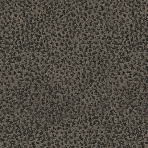 Camera Time Recliner