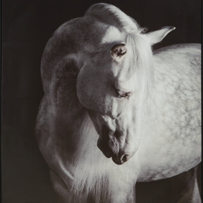 Arte mural de Archerwick