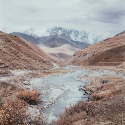 Arte mural de Darinby