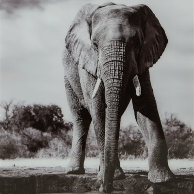 Arte mural de Glinyard