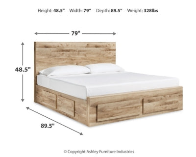 Hyanna King Panel Storage Bed with 2 Under Bed Storage Drawer
