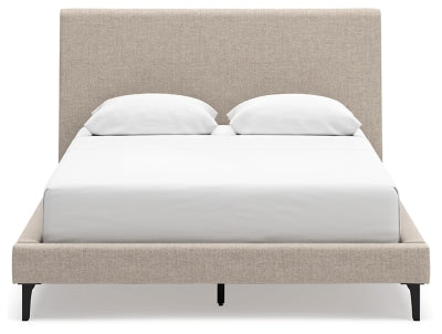 Cielden Queen Upholstered Bed with Roll Slats