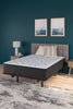 Elite Springs Firm Queen Mattress