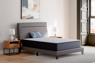 Anniversary Edition Firm Twin Mattress
