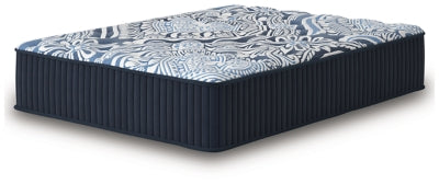 Firm Luxe 2.0 Queen Mattress