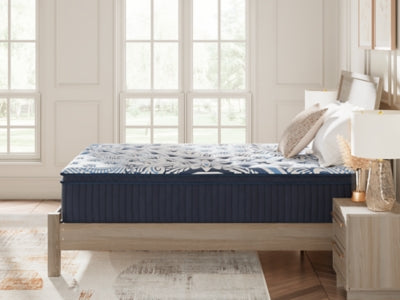 Plush Luxe 2.0 Queen Mattress