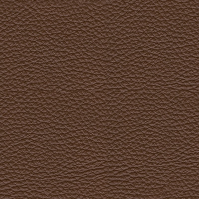 VonRyan Power Recliner