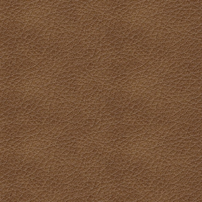 Trasimeno Power Reclining Sofa, Loveseat and Recliner