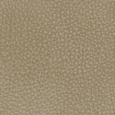 2-Piece Upholstery Package