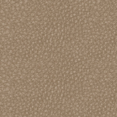 5-Piece Upholstery Package