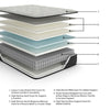 Palisades Firm King Mattress