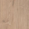 Cielden Queen Panel Headboard