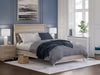 Gentor 5' x 7' Rug