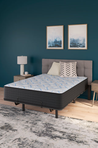 Elite Springs Firm California King Mattress