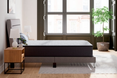 Anniversary Edition Firm Twin Mattress
