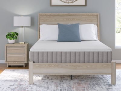 Terra Sleep Firm Queen Mattress