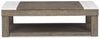 Loyaska Lift-Top Coffee Table