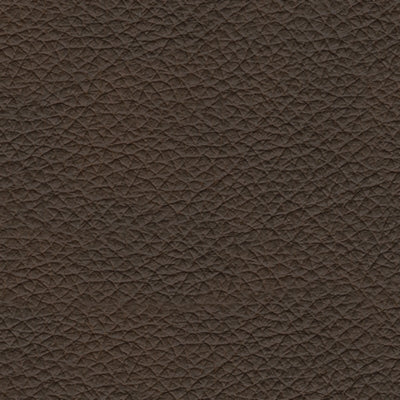 3-Piece Upholstery Package