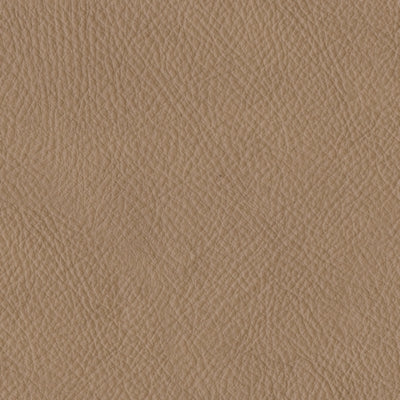 Sillón reclinable eléctrico Mosswell